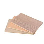 Cladin Wal Mewnol Plastig